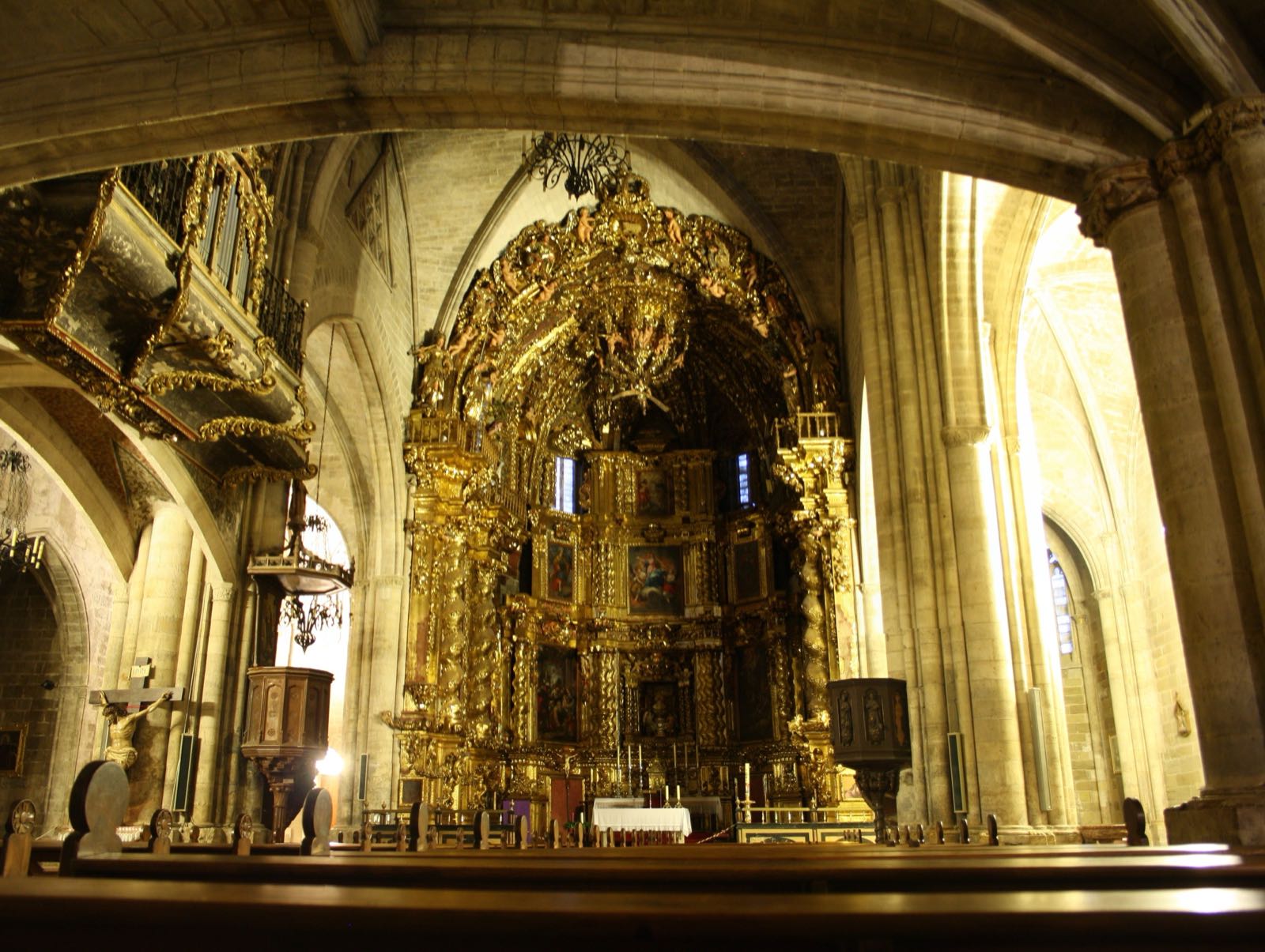 Morella